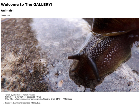 My-Gallery screenshot