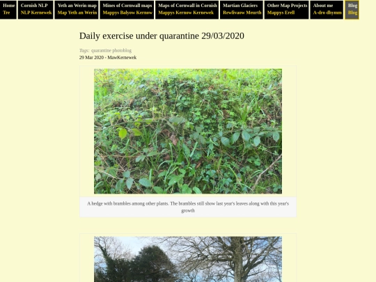 blog/2020/03/29/daily-exercise-under-quarantine-29032020 screenshot