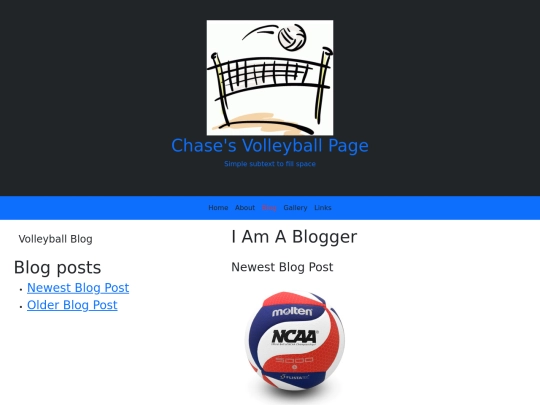 BS5_blog screenshot