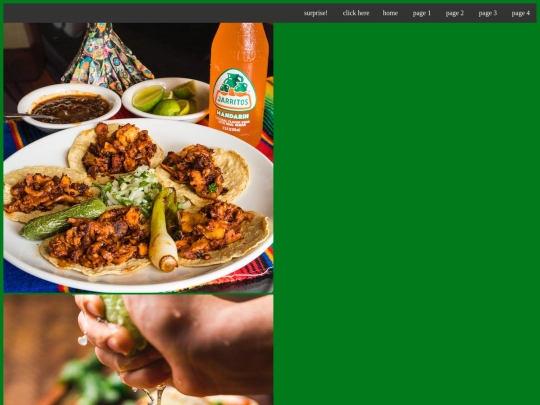 myfirstwebsite screenshot
