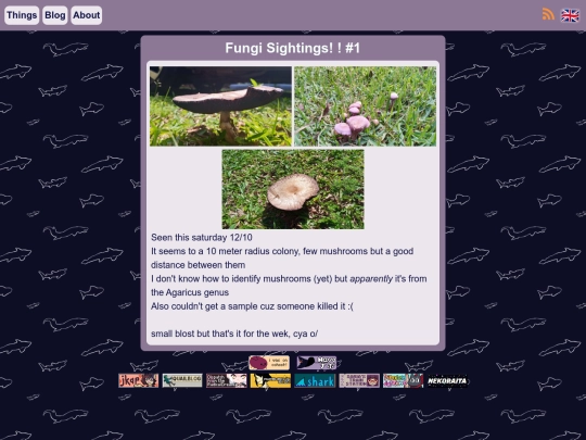 blog/blosts/blost4/eng screenshot