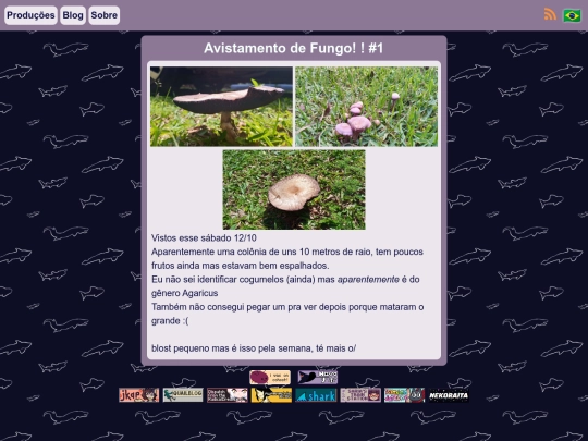 blog/blosts/blost4 screenshot