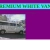 Premium White Vans avatar