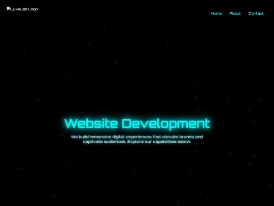 websitedevelopment screenshot