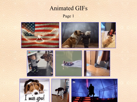 animated gifs/01 screenshot