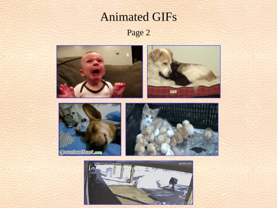 animated gifs/02 screenshot