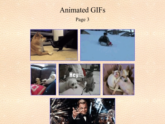 animated gifs/03 screenshot