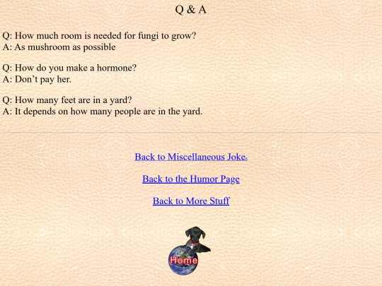humor/misc/Q and A screenshot
