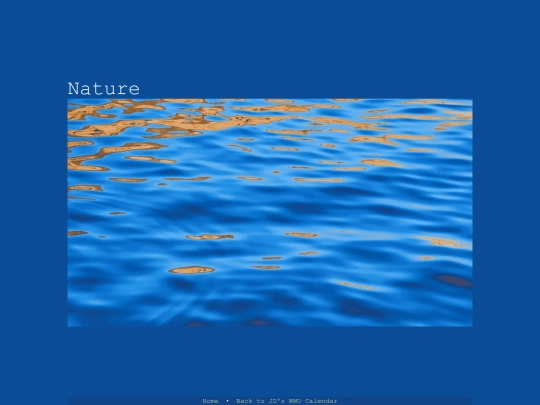 projects/wwo/01nature screenshot