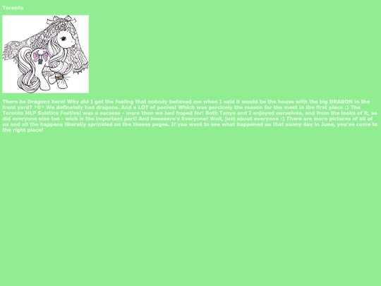 toronto-summer-solstice-pony-meet screenshot