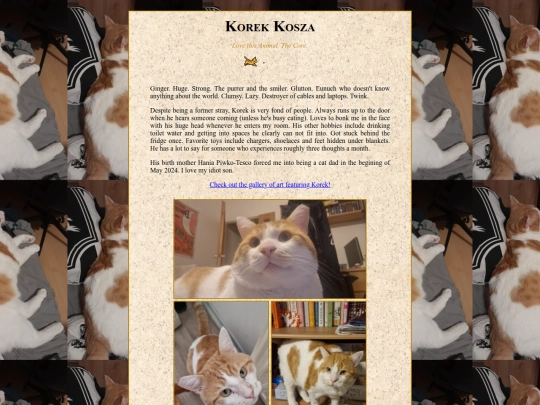 shrines/korek screenshot