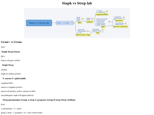 Staph vs Strep lab screenshot
