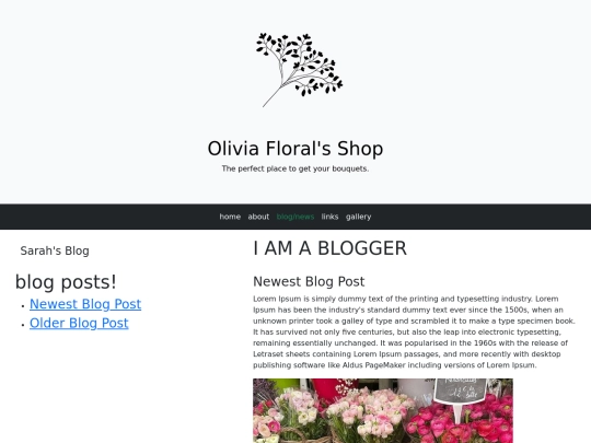 BS5_blog screenshot