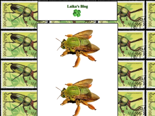 blog3 screenshot