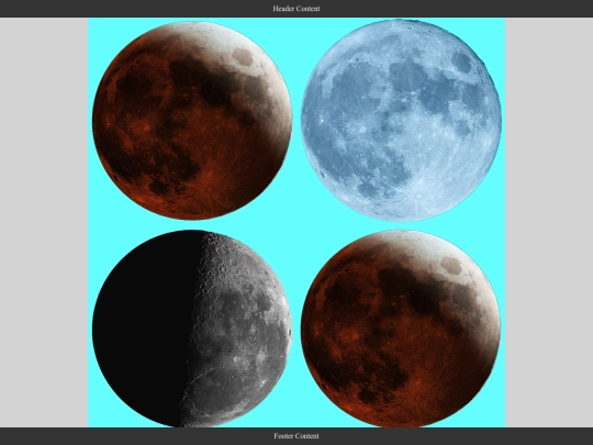 12grid screenshot