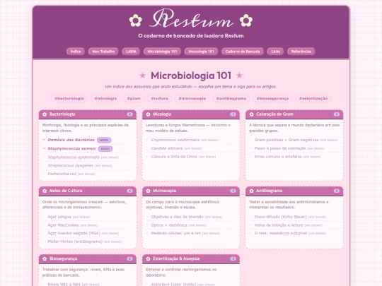 micro101 screenshot