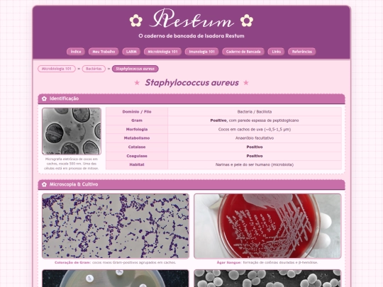 micro101/bacteria/staphylococcus/aureus screenshot