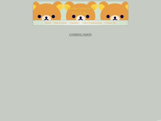 otherProgramming screenshot