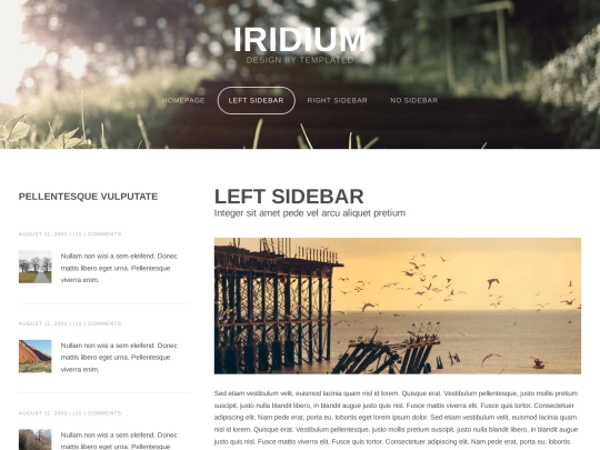 left-sidebar screenshot