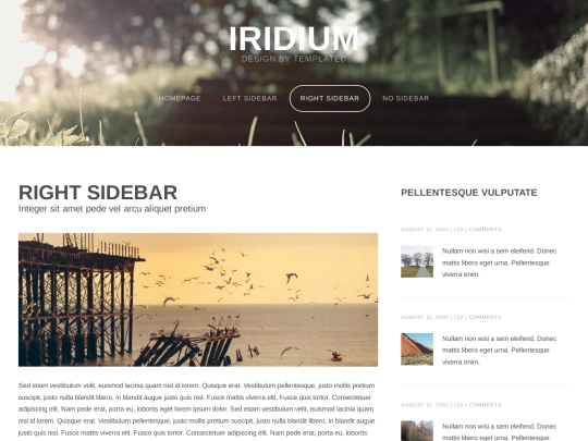 right-sidebar screenshot