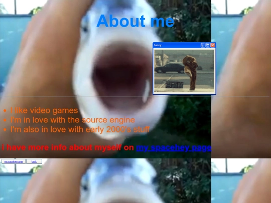 aboutme screenshot