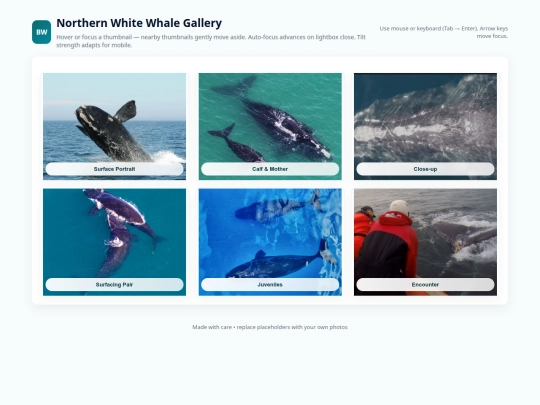 gallery screenshot