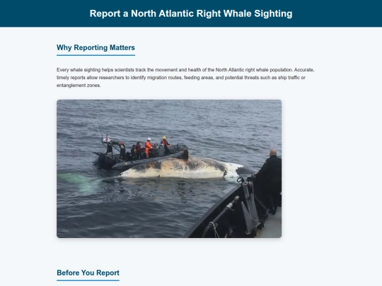 report-sighting screenshot