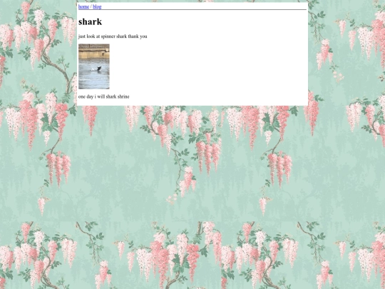 blog/sharks screenshot
