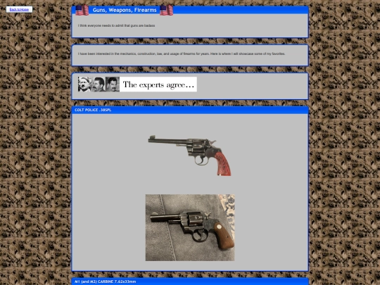 guns screenshot