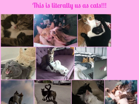 links/cats screenshot