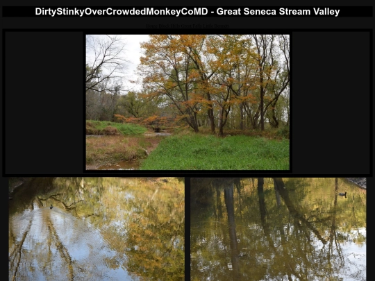 GreatSenecaStreamValleyPark screenshot