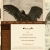 jackthevulture.neocities.org avatar