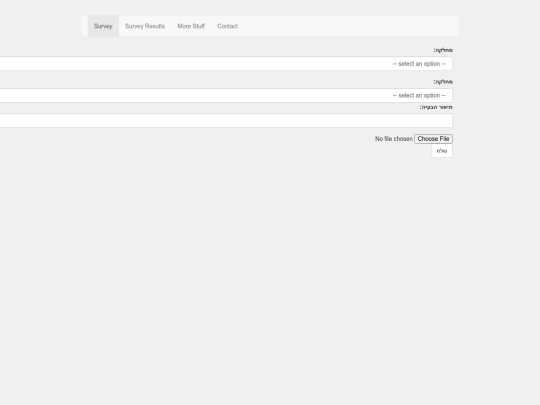 raport/raport screenshot