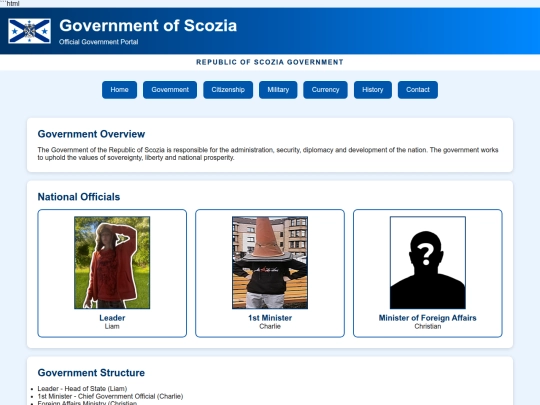 Government screenshot
