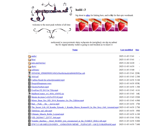 redirect screenshot