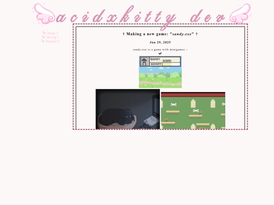 projects screenshot