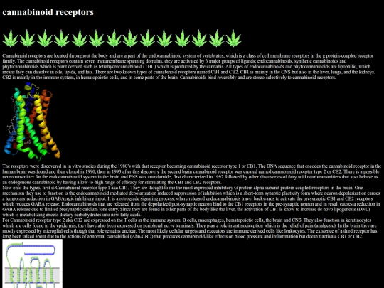 cannabis screenshot