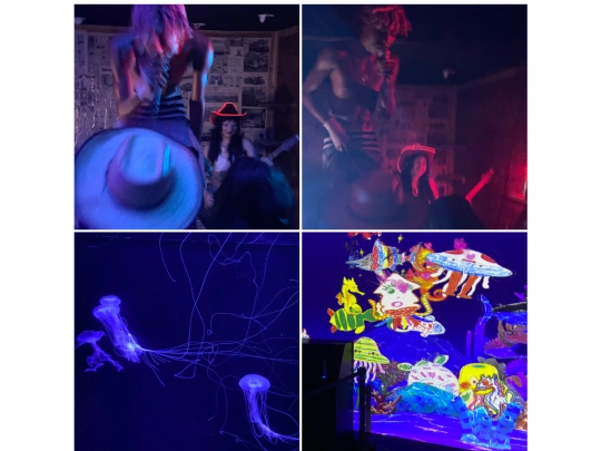 photos/colors screenshot