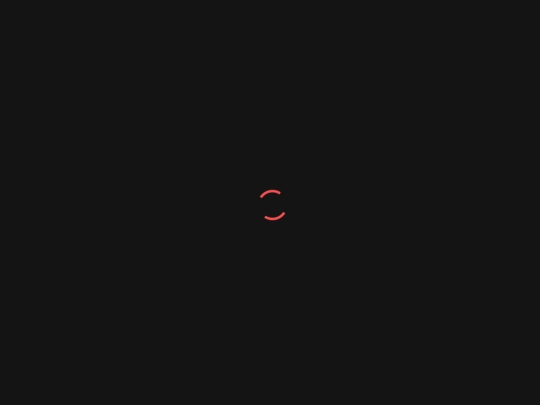 portfolio-details screenshot