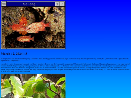 blogpage/march12and13 screenshot
