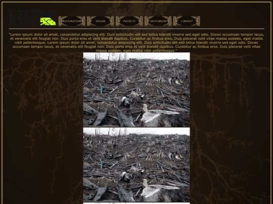 Projects screenshot