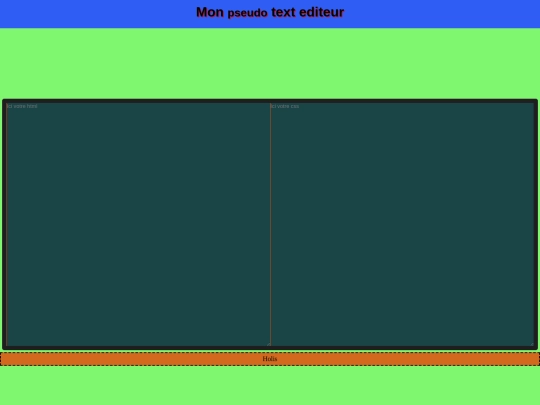 pseudoEditor/editor screenshot