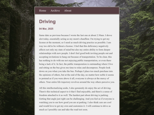 posts/2025-03-04-Driving screenshot