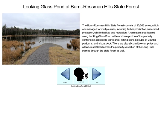 apn/lookingGlassPond01 screenshot