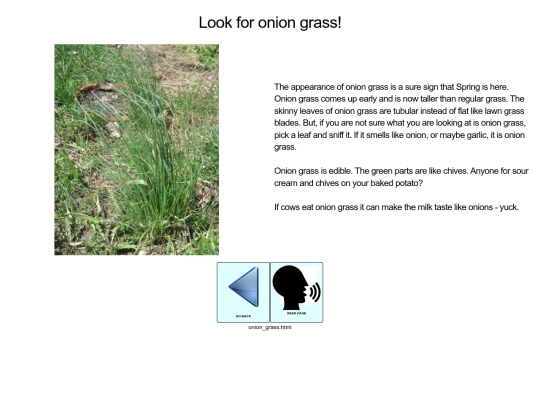 spring/onion_grass screenshot