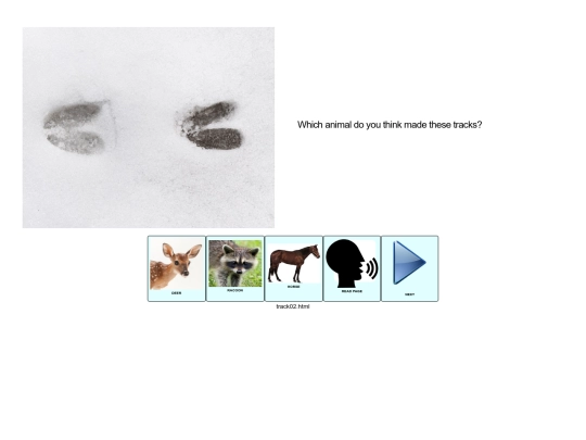 tracks_in_snow/track02 screenshot