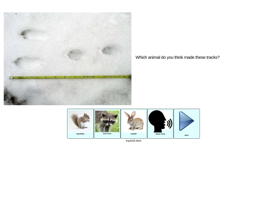 tracks_in_snow/track03 screenshot