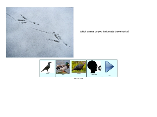 tracks_in_snow/track05 screenshot