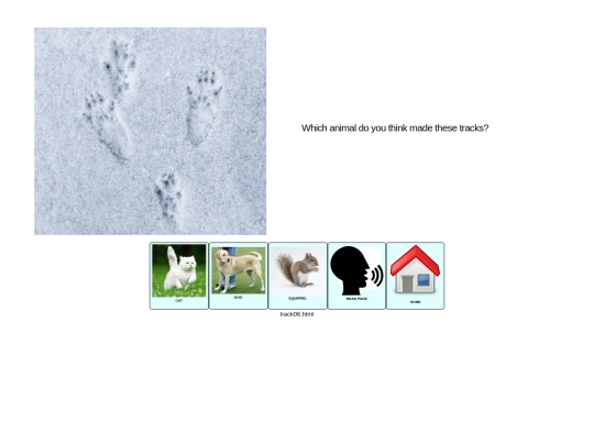 tracks_in_snow/track06 screenshot