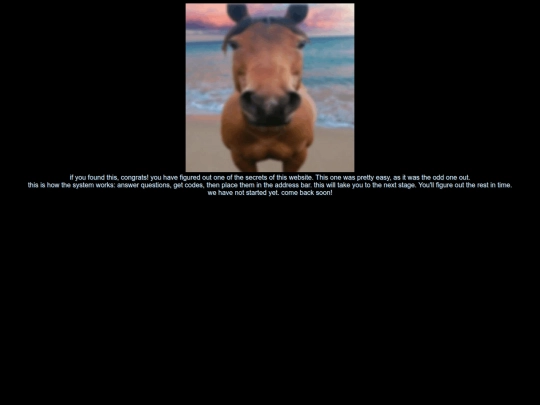 horse screenshot